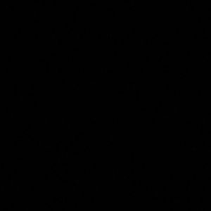 Meet your Posher, Chrissy